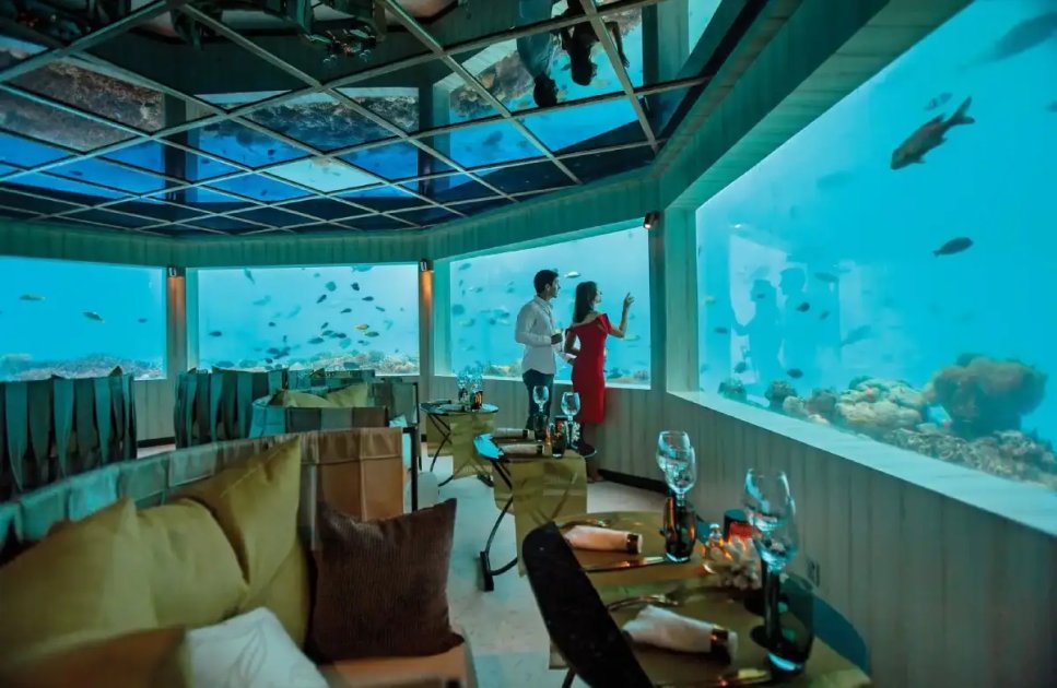 Beyond Dessert: Janice Wong’s Transformative Chocolate Art Experience in the Maldives