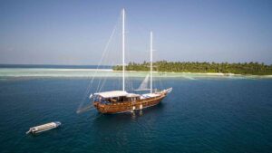 Read more about the article Snorkel with a Purpose: A Marine Adventure in the Maldives