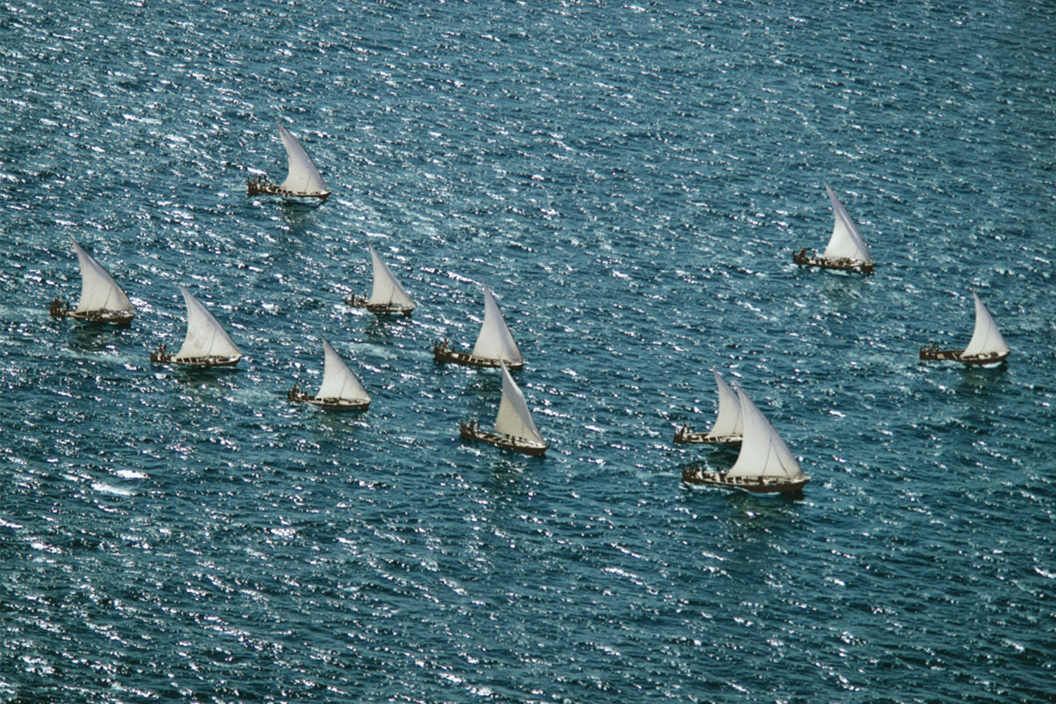You are currently viewing Maldives Discovered by Michael Friedel, a Review