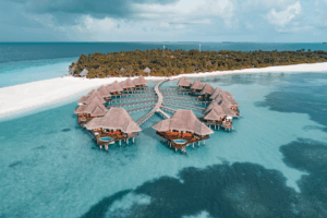 Read more about the article Support Ocean Conservation this June at Coco Palm Dhuni Kolhu