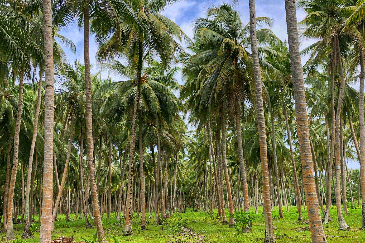 Read more about the article New Conference Aims to Showcase Maldives to Wellness Travellers